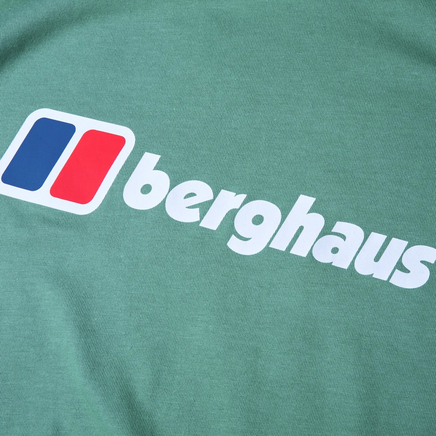 Berghaus Class Logo T-shirt Green