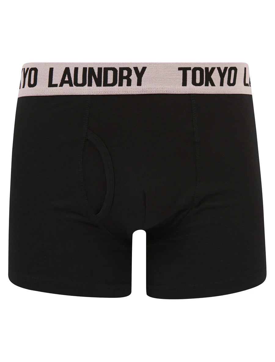Tokyo Laundry Martem 2 Boxers (2 Pack) - Pink Nectar/Blissful Blue