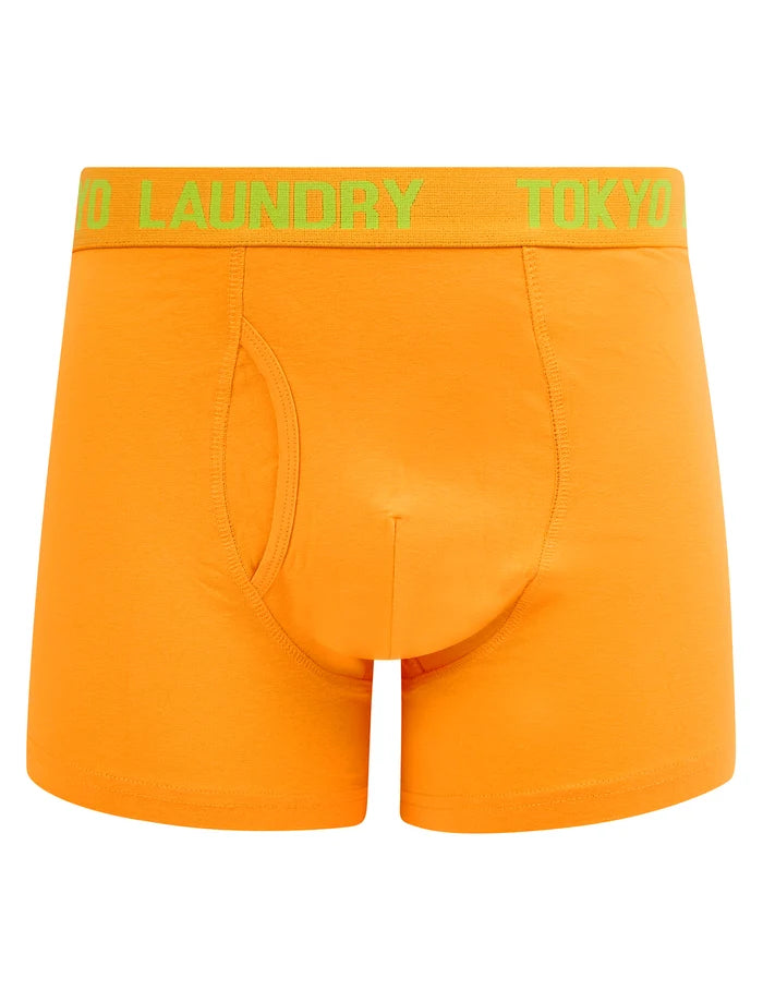Tokyo Laundry Martem 2 Boxers (2 pack) - Mock Orange/Opaline Green