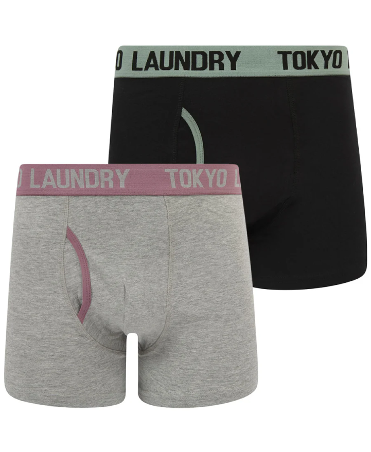 Tokyo Laundry Abbots Boxers (2 Pack) - Chinois Green/Grapeade