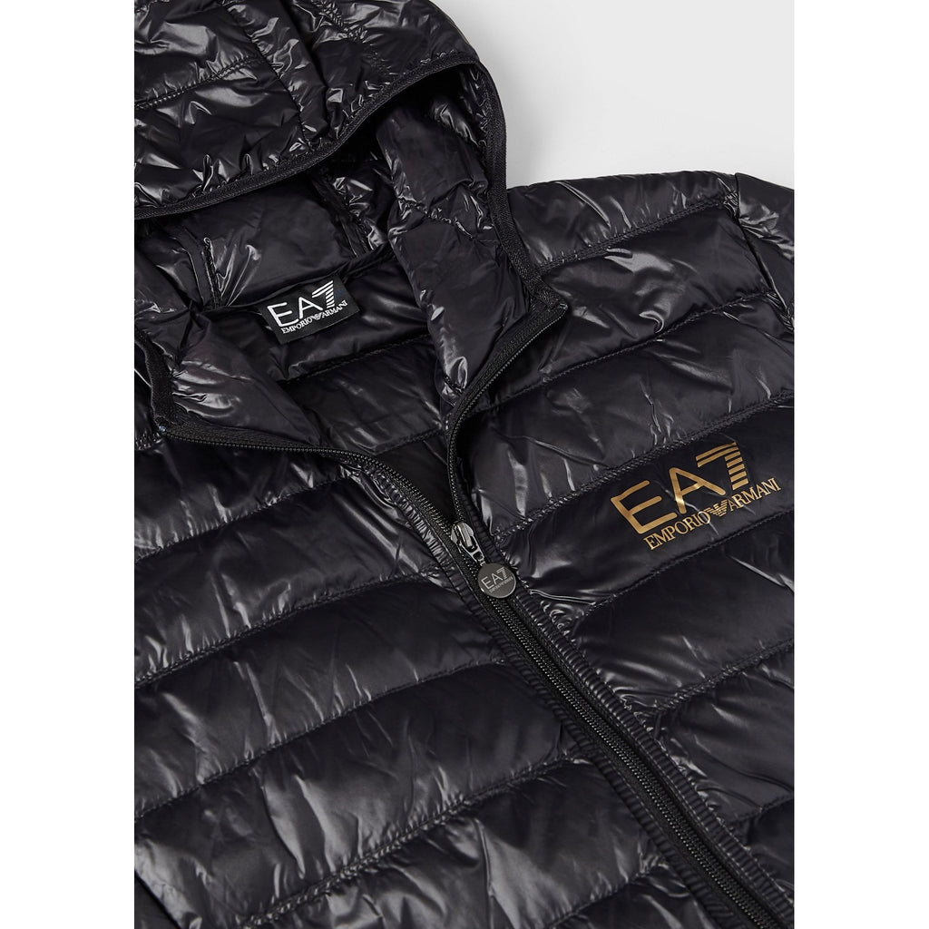 EMPORIO ARMANI EA7 8NPB02 DOWN JACKET BLACK/GOLD